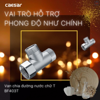 Van chia đường nước Caesar BF403T