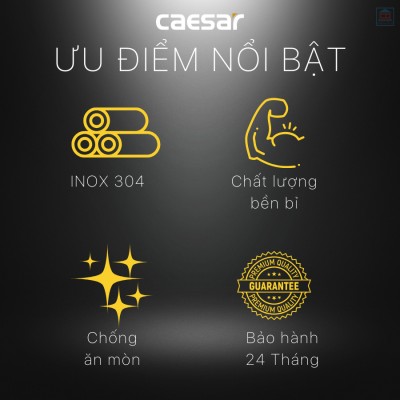 Van không chế chữ T Caesar BF428