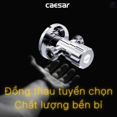 Van không chế chữ T Caesar BF428