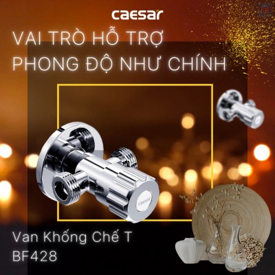 Van không chế chữ T Caesar BF428