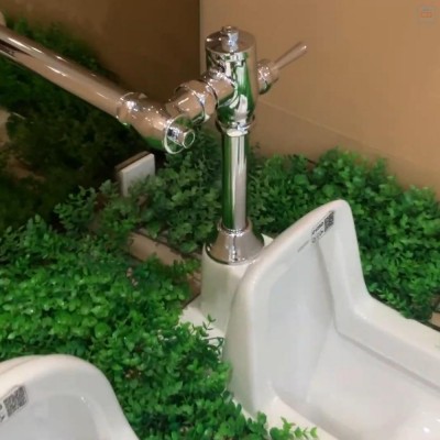 Van xả tay gạt Caesar BF523A