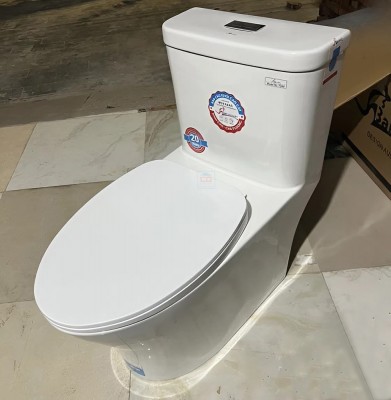 Bồn cầu một khối Bancoot TS69