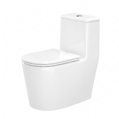 Bồn cầu một khối Bancoot TS82