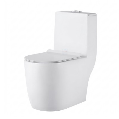 Bồn cầu một khối Bancoot TS52