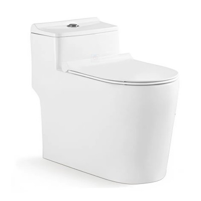 Bồn cầu 1 khối Bancoot TS73