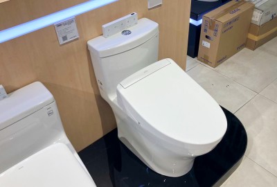 Bồn cầu nắp điện tử TOTO MS889CDRW25