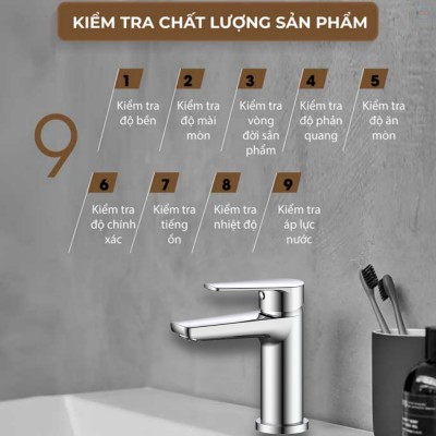 Vòi chậu nóng lạnh Basic BW-608V