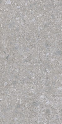 Gạch khổ lớn 120x240cm Eurotile THN X01C