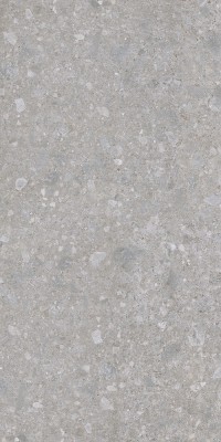 Gạch khổ lớn 120x240cm Eurotile THN X01C