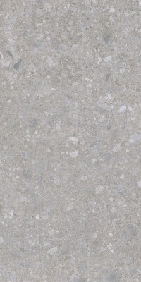Gạch khổ lớn 120x240cm Eurotile THN X01C