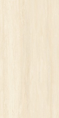 Gạch khổ lớn 120x240cm Eurotile CHN X01C