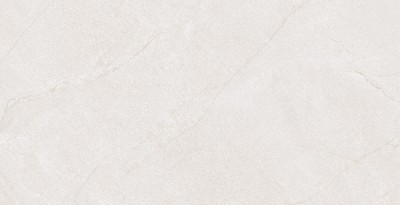 Gạch ốp tường 40x80 Đồng Tâm 4080HOABINH001-H+