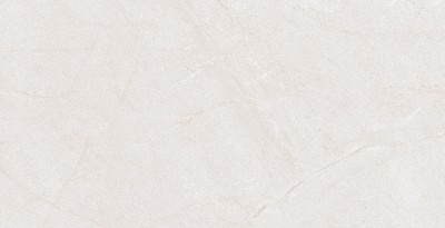 Gạch ốp tường 40x80 Đồng Tâm 4080HOABINH001-H+