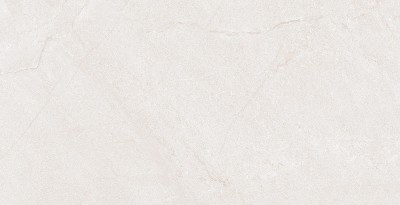 Gạch ốp tường 40x80 Đồng Tâm 4080HOABINH001-H+