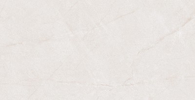 Gạch ốp tường 40x80 Đồng Tâm 4080HOABINH001-H+