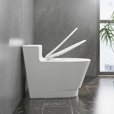 Bồn cầu một khối Viglacera V899