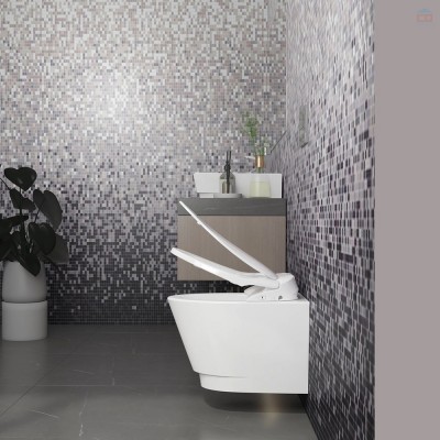 Bồn cầu treo tường Viglacera V909D nắp điện tử