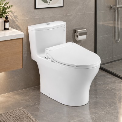 Bồn cầu nắp rửa cơ TOTO MS885DE6