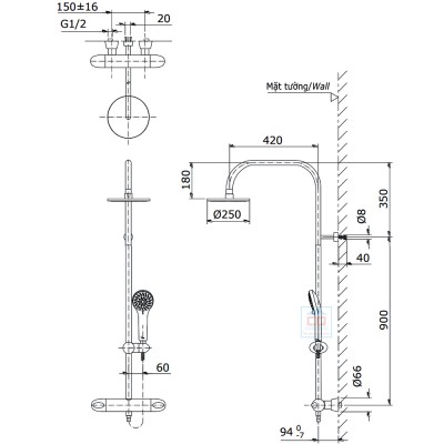 Sen cây nhiệt độ TOTO TX454SFV2BRN (TX454SFV2BRS)