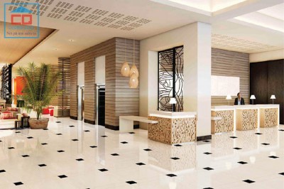 Gạch Granite đơn màu Viglacera TS5-600