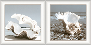 Gạch ốp Prime 05.300600.08368