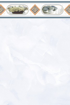 Gạch ốp Prime 05.300450.09538