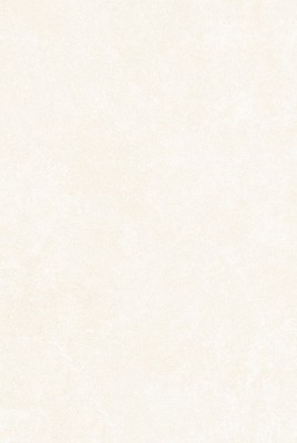 Gạch ốp Prime 05.300450.09528