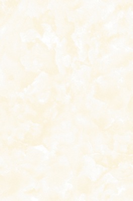 Gạch ốp Prime 05.300450.09461