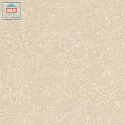 Gạch ốp lát Viglacera công nghệ Nano TS2-812