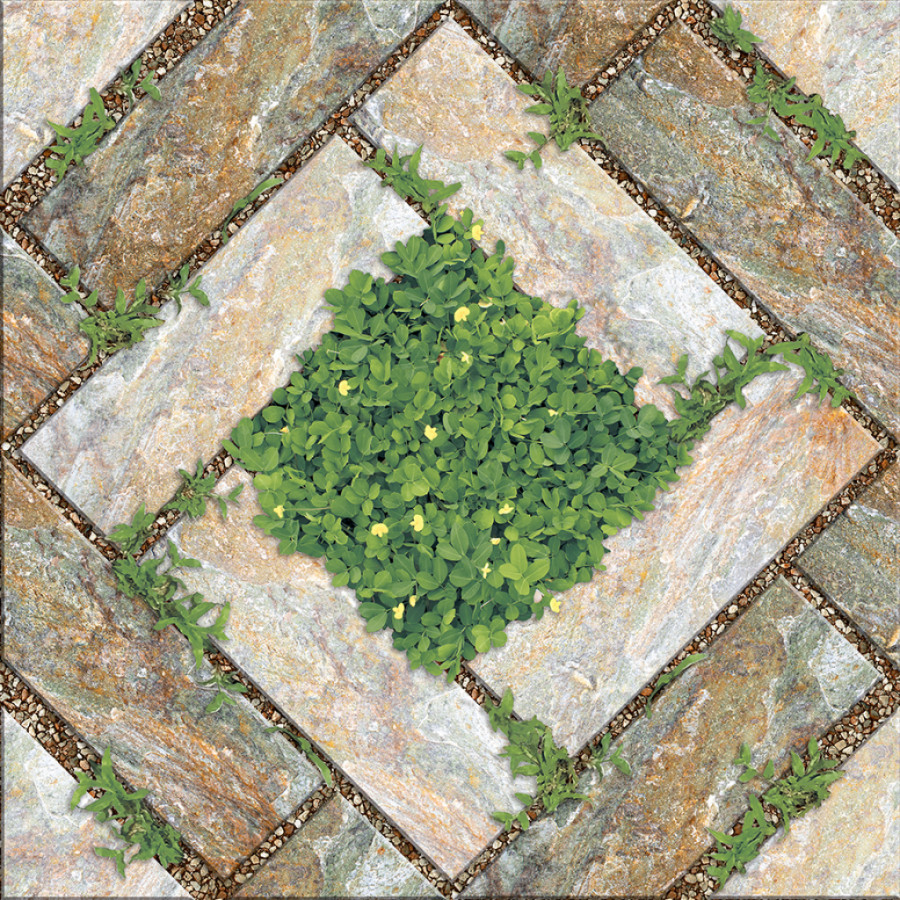 Prime 01.400400.09277