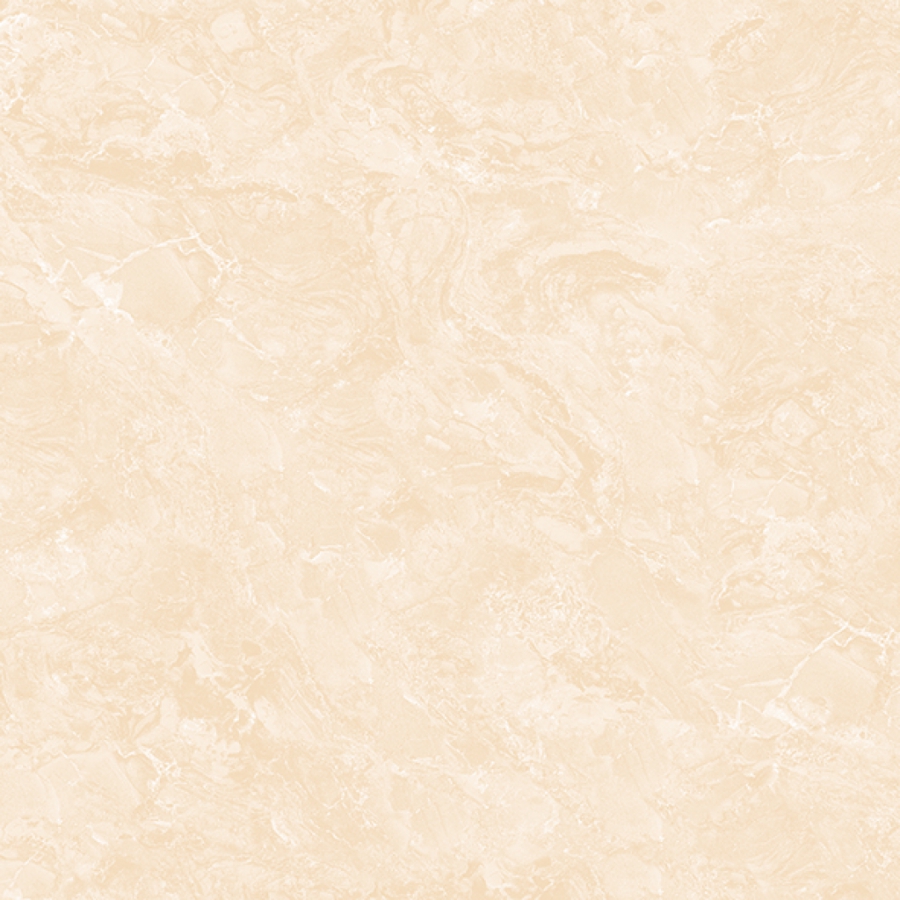 Prime 13.500500.02589