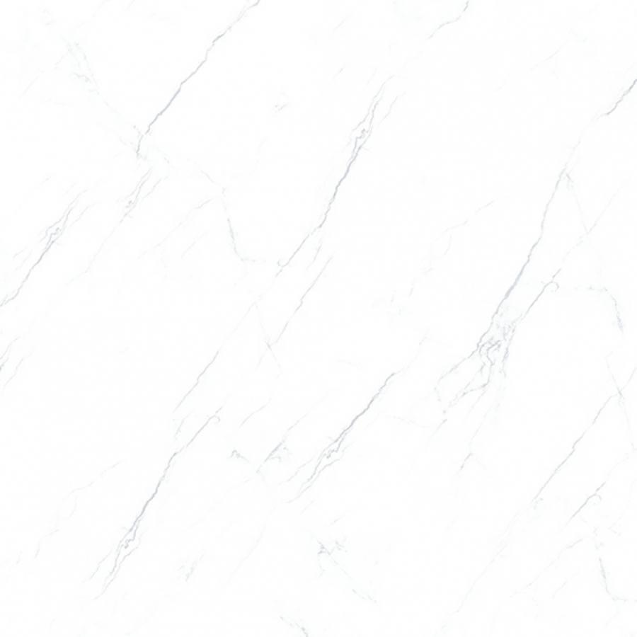 Prime 14.500500.09687