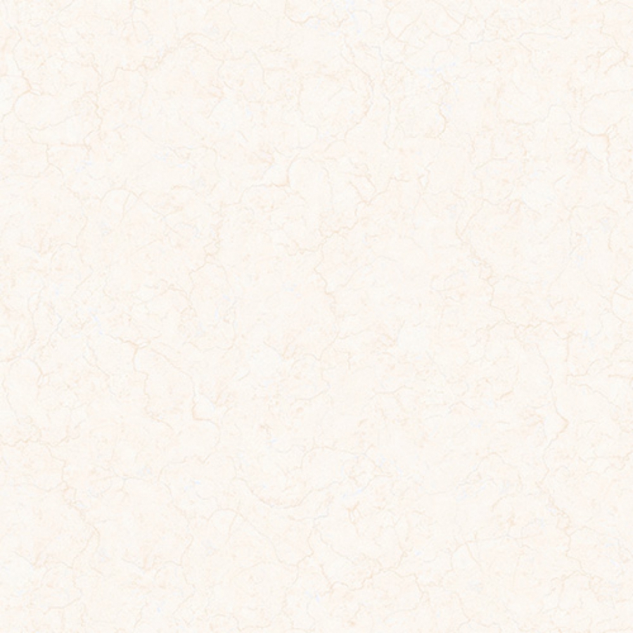 Prime 14.600600.09648