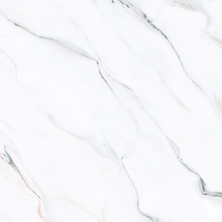 Prime 03.600600.15621