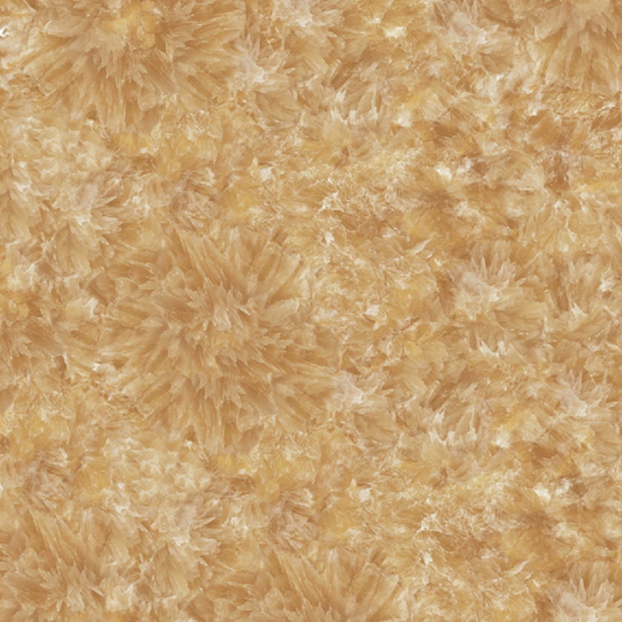 Prime 03.600600.09897