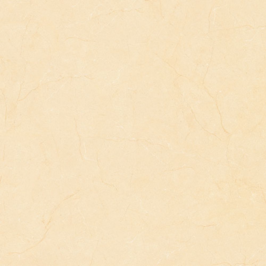 Prime 03.800800.08904