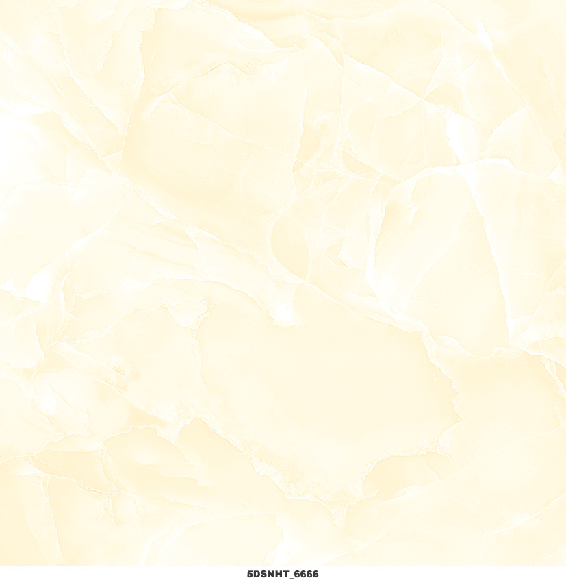 Gạch lát sàn 600x600 Toko 5DS NHT 6666