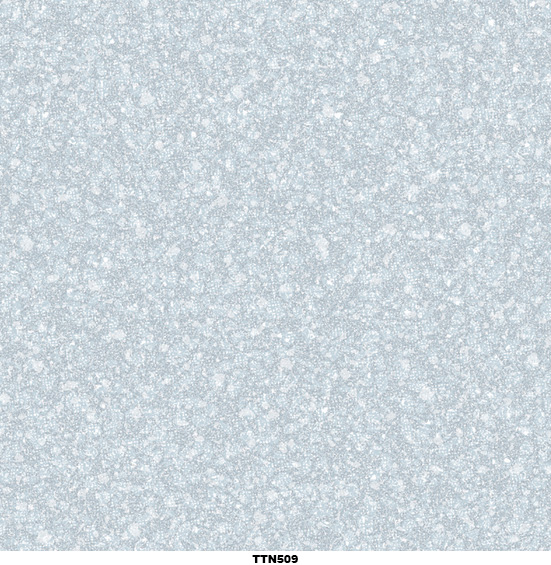 Gạch lát nền 50x50 Toko TTN 509