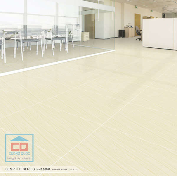 Gạch granite Bạch M&atilde; HMP80907