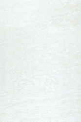 Gạch men ốp tường Taicera W34045