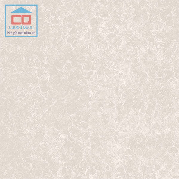 Gạch ốp lát Viglacera công nghệ Nano TS2-617