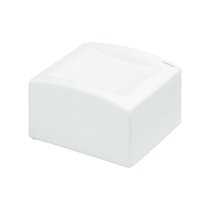 Hộp giấy vệ sinh Caesar Q994