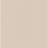 Gạch granite đồng chất 600x600 VID VB601