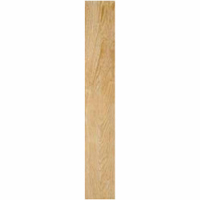 Gạch granite men mờ Đồng Tâm DTD1380GOSAN004