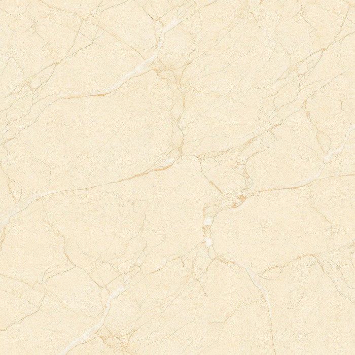 Gạch lát nền Đồng Tâm 6060HAIVAN003-FP