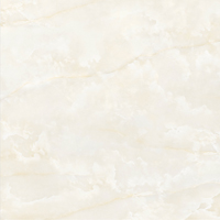 Gạch granite 600x600 Đồng Tâm DTS6060LUSTER001-FP