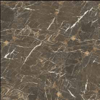 Gạch Đồng Tâm DTD6060TRUONGSON008-FP