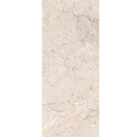 Gạch men mờ ốp tường Đồng Tâm 2560HOADAT002 (HẾT HÀNG)