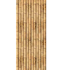 Gạch ốp tường Đồng Tâm 250x600 D2560TREVN002 (HẾT HÀNG)