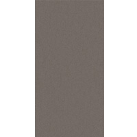 Gạch ceramic Đồng Tâm 3060PHUSA003